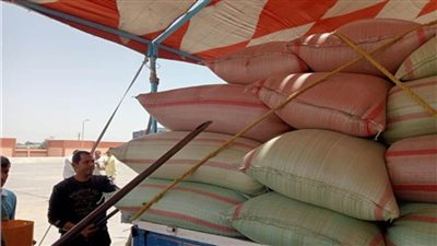 التموين: استلام 146 ألف طن قمح عبر 420 موقعا على مستوي الجمهورية