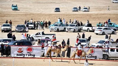 وزراء الرياضة والتضامن والثقافة والتنمية المحلية يفتتحون المهرجان العربي للهجن بشمال سيناء