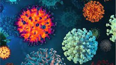 استشاري يكشف تفاصيل متحور كورونا الجديد «أركتورس» 