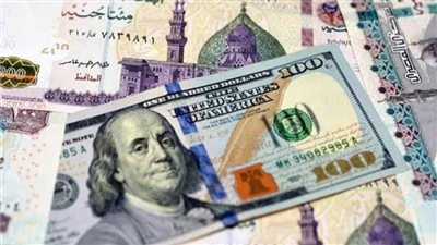 استقرار سعر الدولار في بداية تعاملات اليوم 30 أبريل 2023 