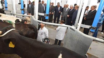 وزير التعليم العالي ورئيس جامعة أسيوط يفتتحان المحلب الآلي بمزرعة الإنتاج الحيواني بـ