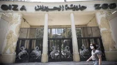 55 ألف زائر لحديقة الحيوان بالجيزة اليوم