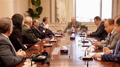 وزير الكهرباء يستقبل سفير الهند بالقاهرة