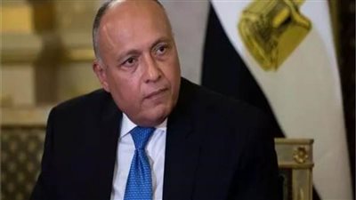 شكري: لا بد من توفير البيئة المناسبة لعودة اللاجئين السوريين إلى بلادهم 