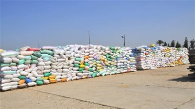 استقبال 61 ألف 861 طن من القمح بصوامع وشون الغربية 