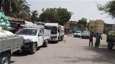 تسليم 807 أطنان قمح محلي لشون وصوامع أسيوط 