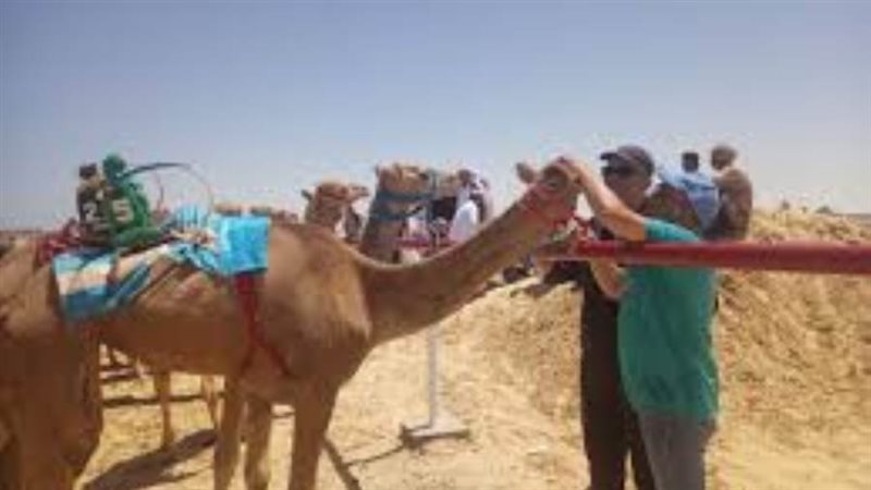 الشورى