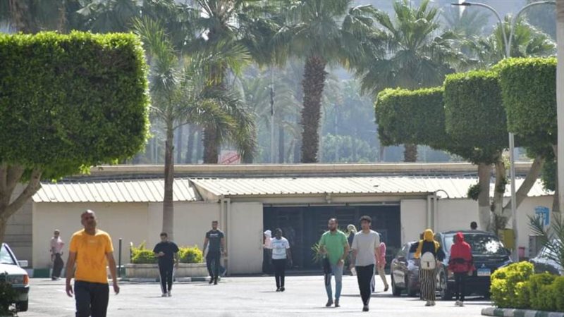 الشورى