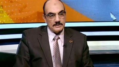 محافظ الإسكندرية الأسبق: سياسة مصر الخارجية ثابتة 