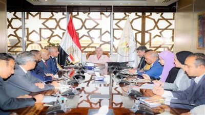 وزيرة البيئة تلتقي عددًا من المستثمرين والشركات العاملة في مجال تحويل المخلفات إلى طاقة