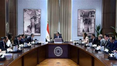 متحدث الحكومة: طرح محطة كهرباء سيمنز ببني سويف في البورصة