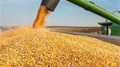 بعد تدبير العُملة الصعبة.. تفاصيل الإفراج عن 308 آلاف طن أعلاف 