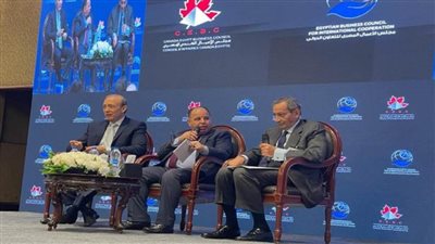 وزير المالية: القرارات الرئاسية الأخيرة دفعة قوية للاستثمارات الخاصة تضمن العدالة التنافسية (صور)