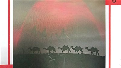 «سأترك للصحراء قافلتي».. ديوان جديد بهيئة الكتاب 