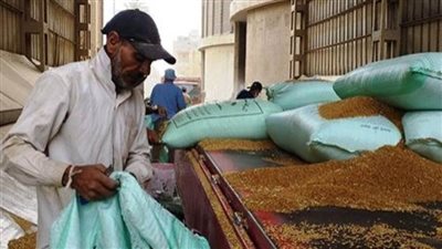 صوامع الغربية تستقبل 110 آلاف و718 طن قمح