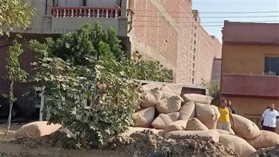 تعطل حركة النقل والمواصلات بالزراعي بعد انقلاب سيارة نقل بطنطا