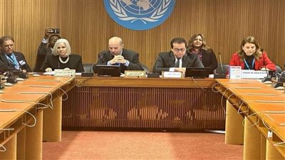 وزير الصحة يؤكد التنسيق المستمر مع جامعة الدول العربية لمساعدة الشعبين الفلسطيني والسوداني الشقيقين (صور)