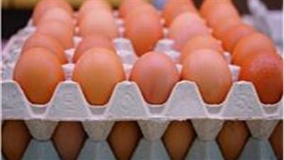 استقرار سعر طبق البيض اليوم الإثنين 22 مايو 