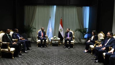 مدبولي يلتقي رئيس وزراء جمهورية الصومال الفيدرالية