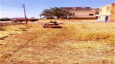 توريد أكثر من 494 ألف طن قمح لصوامع وشون الشرقية 