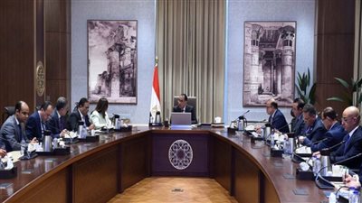 رئيس الوزراء يلتقي عددا من المصريين بالخارج بهدف تأسيس شركة 