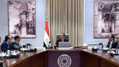 الحكومة: الانتهاء من مسودة مشروع قانون قيد المستثمر الأجنبي بسجل المستوردين