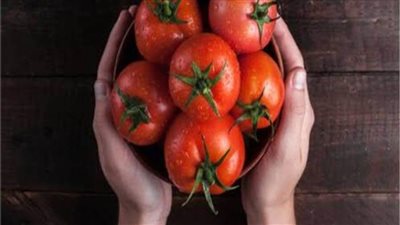 على الرغم من فوائدها.. تحذير من الإفراط في تناول الطماطم 
