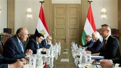 وزير الخارجية يجري مباحثات مع نظيره المجري ببودابست
