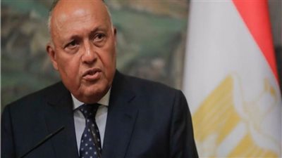 مصر تجدد دعوتها لإطلاق لمناقشات حول دعم الدول النامية
