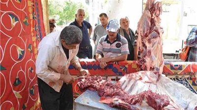 «التموين»: توافر مخزون جيد من اللحوم الحمراء.. واستمرار طرحها بـ 195 جنيها 