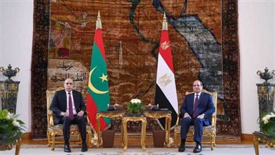 الرئيس السيسي يدعو الأطراف السودانية إلى وقف فوري لإطلاق النار