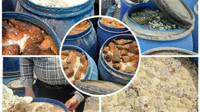 ضبط 32 طن مخللات ومواد غذائية غير صالحة للاستهلاك الآدمي بالبحيرة 