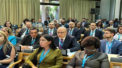 وزير الإسكان يؤكد التزام مصر بدعم أجندات التنمية الدولية (صور)