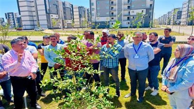 جهاز المنصورة الجديدة وسكان المدينة يشاركون في احتفالية اليوم العالمي للبيئة بزراعة الأشجار المثمرة (صور)