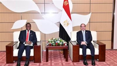 السيسي يلتقي رئيس جمهورية مالاوي على هامش قمة الكوميسا