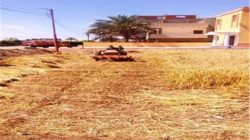الشورى