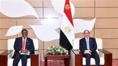 رئيس مالاوي: تقدير عميق لـ مصر لدورها الرائد في قيادة دفة العمل الأفريقي