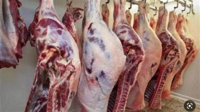 بشرى من رئيس جهاز تنمية التجارة الداخلية عن أسعار اللحوم