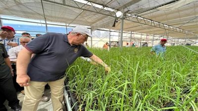 وزير الزراعة ومحافظ أسوان يتفقدان أول محطة لإنتاج شتلات قصب السكر (صور)