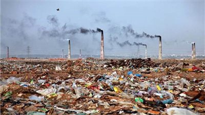 خليج قابس في تونس.. موت للطبيعة وانقراض الحيوانات بسبب فضلات المصانع 