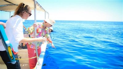 وزيرة البيئة تشهد أولى جلسات التدريب العملي لتحليل سلوك القروش بالبحر الأحمر بمشاركة الخبيرة الدولية (صور)