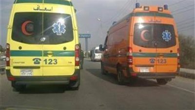 فتح تحقيق في العثور على سائق متوفى بطريق قرية بالغربية