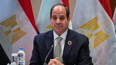الرئيس السيسي يبحث مع نظيره الجنوب إفريقي تعظيم الاستفادة من إمكانات البلدين