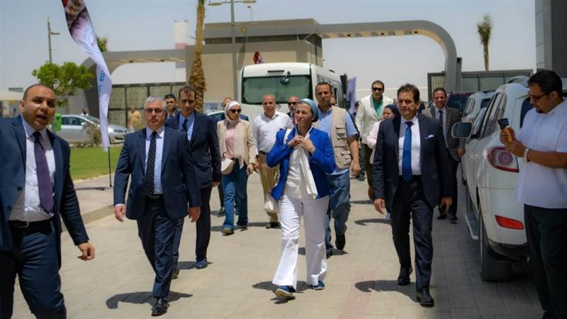 الشورى