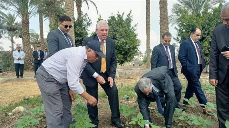 الشورى