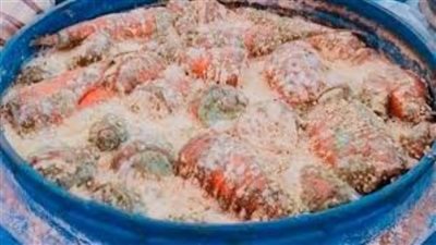 ضبط طن مخللات مجهولة المصدر داخل مصنع بالغربية