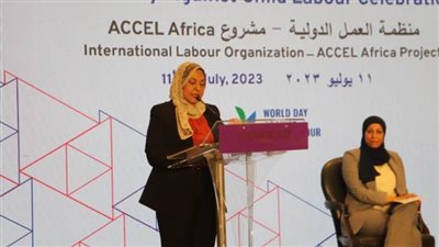 وزير العمل: مصر ملتزمة بالمعايير والإتفاقيات الدولية في مواجهة عمالة الأطفال
