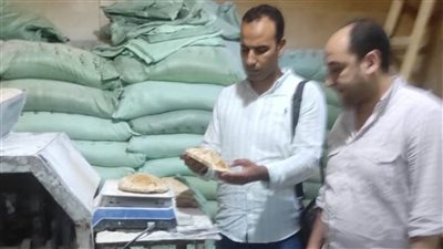 حملات تموينية مكثفة بالبحيرة في ثالث أيام عيد الأضحى المبارك