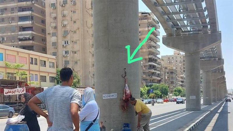 الشورى