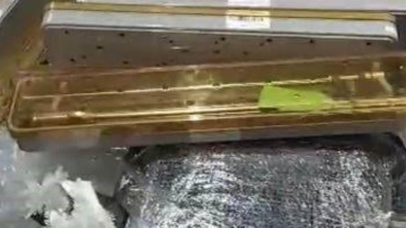 الشورى
